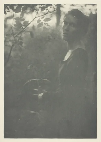 Edge of Woods, No. 10 from the portfolio "American Pictorial Photography, Series II” (1901); edition 34/150 by Clarence H. White, print, 1894-1904