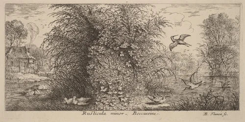 Rusticula minor, The Snipe by Albert Flamen, print, 1620-1669
