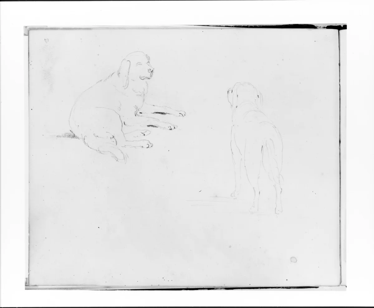 Two Studies of a Dog: Lying Down and Rear View Standing (from Sketchbook) by Francis William Edmonds, artwork, 1835-1839