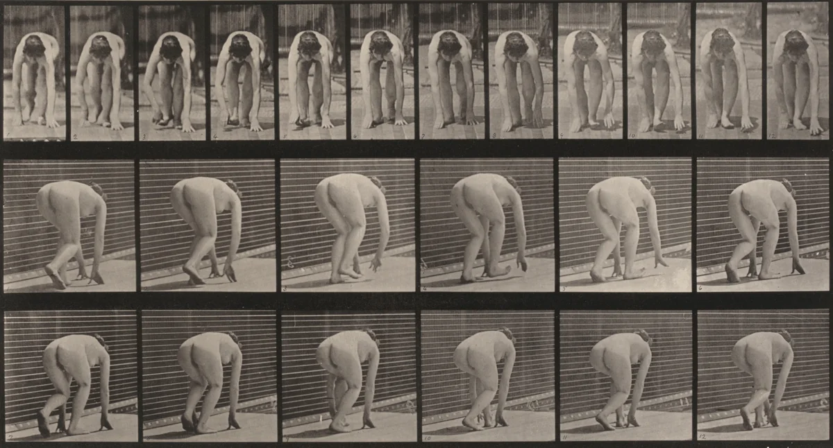 Plate Number 184. Walking on hands and feet by Eadweard Muybridge, photograph, 1887