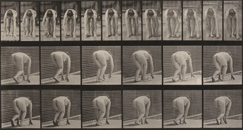 Plate Number 184. Walking on hands and feet by Eadweard Muybridge, photograph, 1887