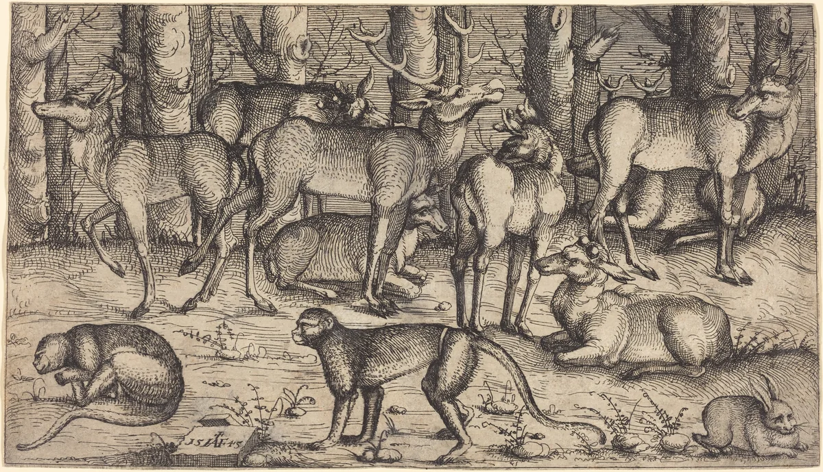 Stags in the Forest by Augustin Hirschvogel, print, 1545