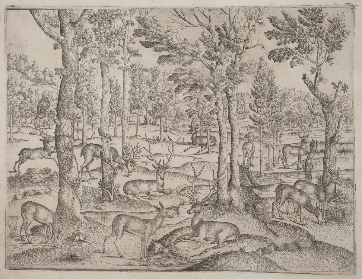 Deer in the Forest by None, print, 1520