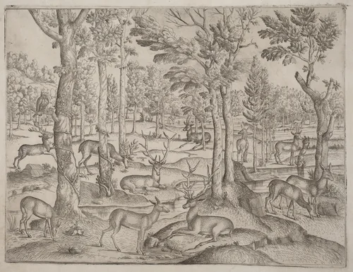 Deer in the Forest by None, print, 1520