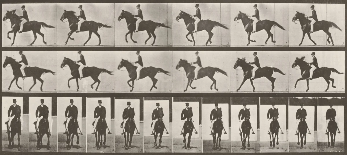 Plate Number 618. "Middleton" cantering, saddled by Eadweard Muybridge, photograph, 1887