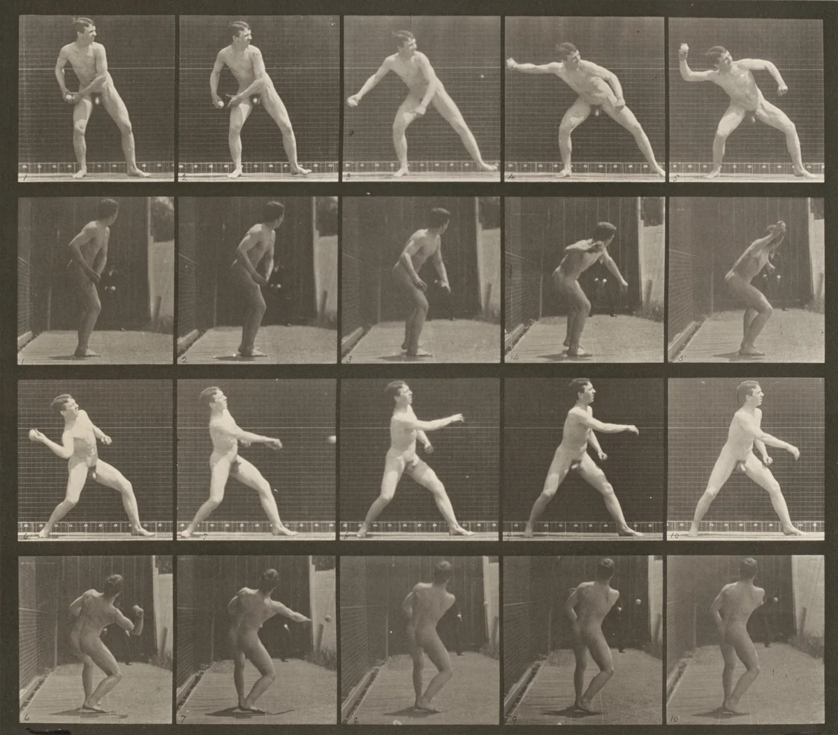 Plate Number 273. Baseball, pitching by Eadweard Muybridge, photograph, 1887