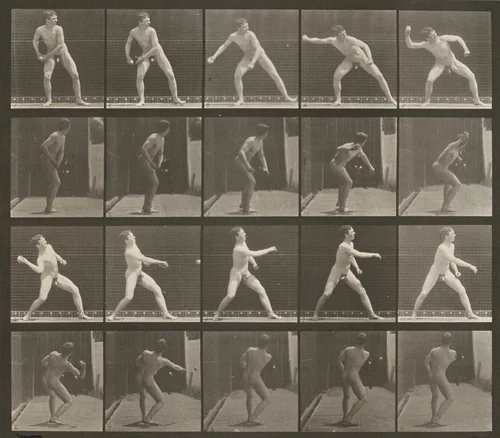 Plate Number 273. Baseball, pitching by Eadweard Muybridge, photograph, 1887