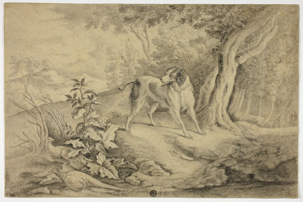 Hunting Dog in Woods by James Barenger, drawing, 1800-1850