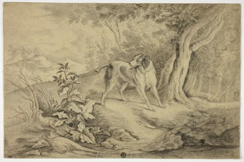 Hunting Dog in Woods by James Barenger, drawing, 1800-1850