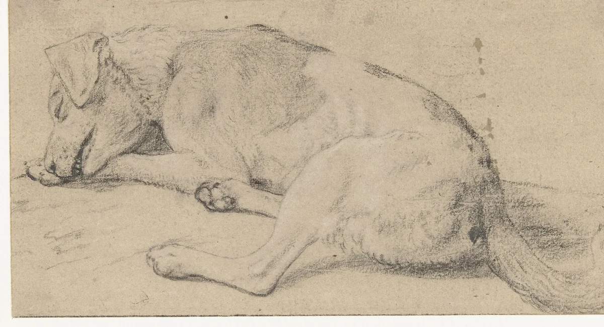 Een slapende hond by Frans Snijders, drawing, 1589-1657
