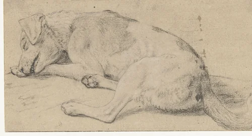 Een slapende hond by Frans Snijders, drawing, 1589-1657