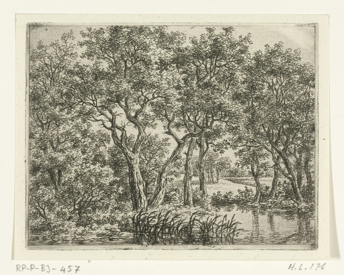 Boslandschap met vijver by Ernst Willem Jan Bagelaar, print, 1798-1837