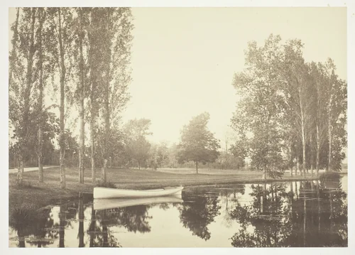 Untitled, from the series "Bois de Boulogne" by Charles Marville, photograph, 1845-1855