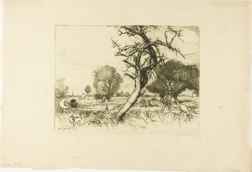 The Dead Apple Tree by Louis Auguste Lepère, print, 1913