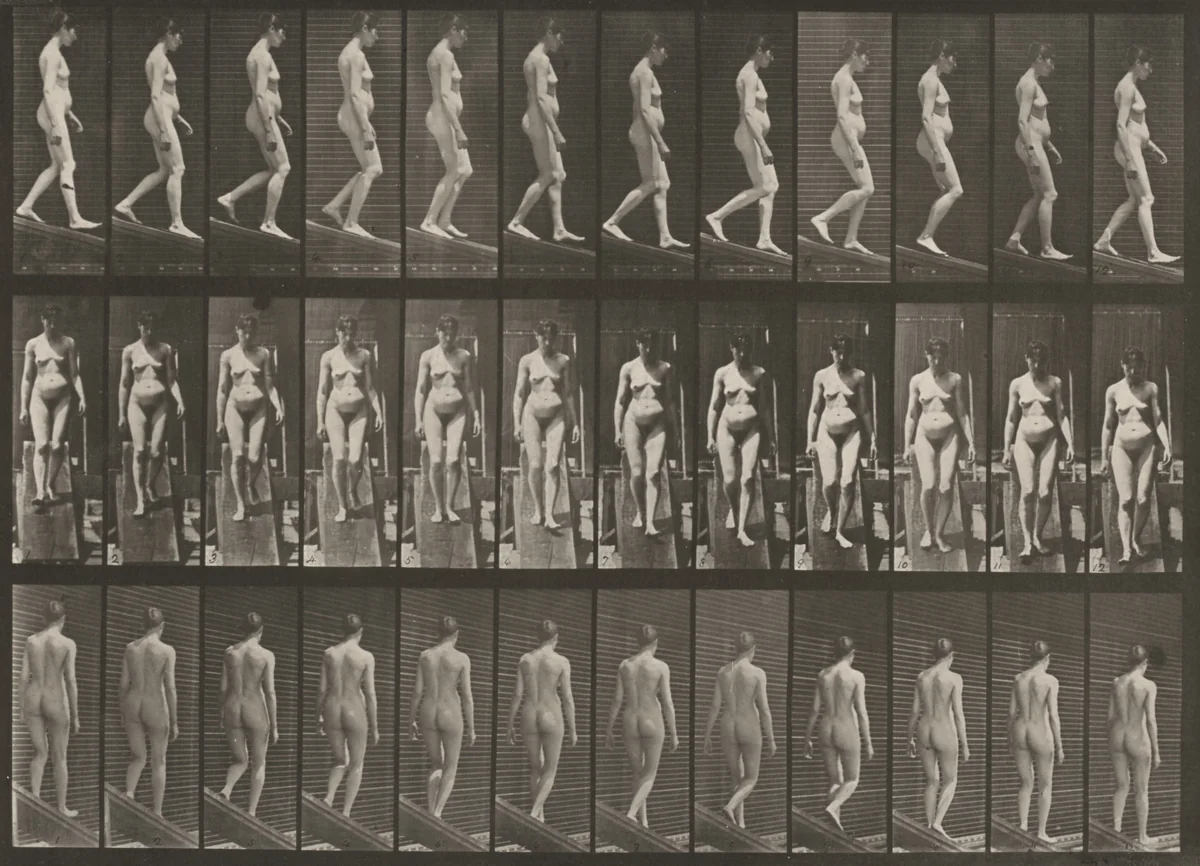 Plate Number 117. Descending an incline by Eadweard Muybridge, photograph, 1887