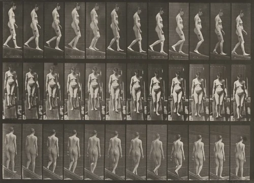 Plate Number 117. Descending an incline by Eadweard Muybridge, photograph, 1887
