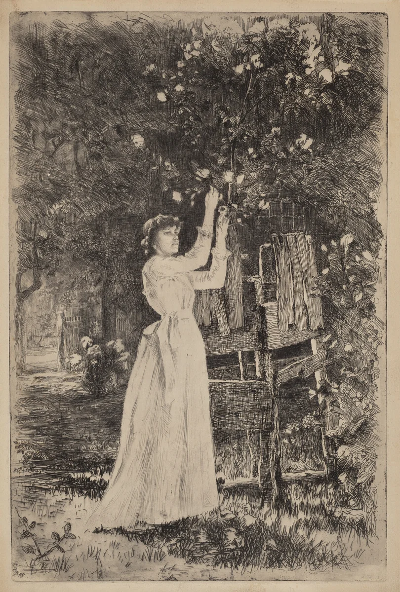 Untitled (Woman Picking Blossoms) by Charles Yardley Turner, print, 1890