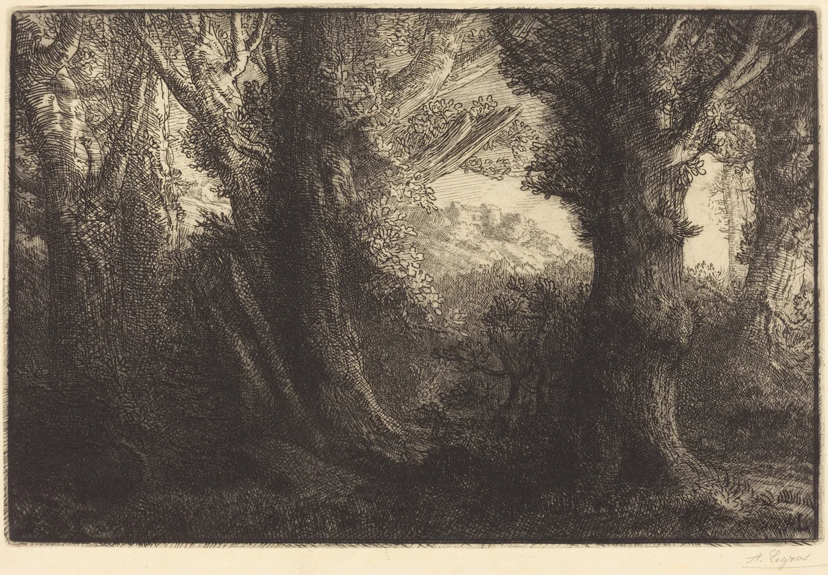 In the Forest of Conteville (Dans la foret de Conteville) by Alphonse Legros, print, 1837-1911