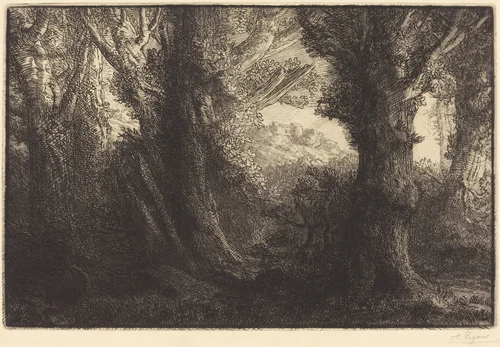 In the Forest of Conteville (Dans la foret de Conteville) by Alphonse Legros, print, 1837-1911