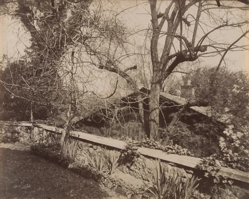 Parc Delessert, 32 Quai de Passy by Eugène Atget, photograph, 1914