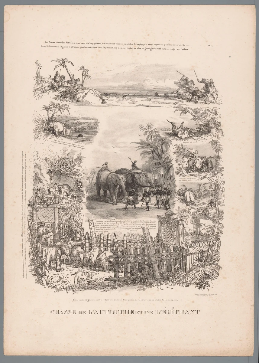 Jacht op struisvogel en olifant by Charles Aubry, print, 1836-1837