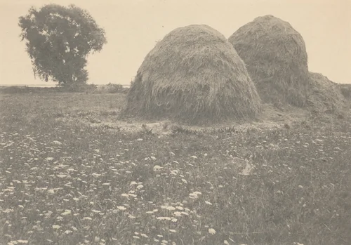 Haystacks, Ipswich by Arthur Wesley Dow, photograph, 1889-1899