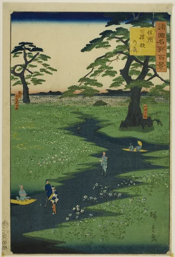 Kikyo Plain, Shinshu Province (Shinshu Kikyogahara) from the series “One Hundred Famous Views in the Various Provinces (Shokoku meisho hyakkei)” by Utagawa Hiroshige II (二代目歌川広重), print, 1826-1869