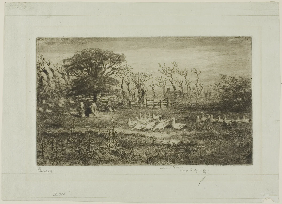 Geese by Félix Hilaire Buhot, print, 1887