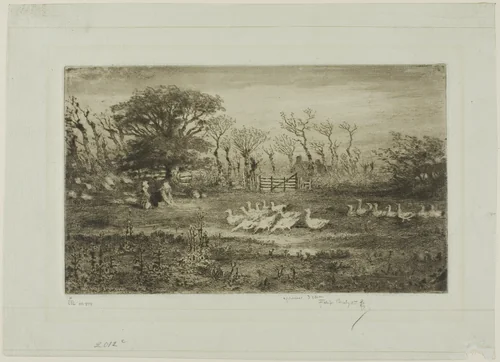 Geese by Félix Hilaire Buhot, print, 1887
