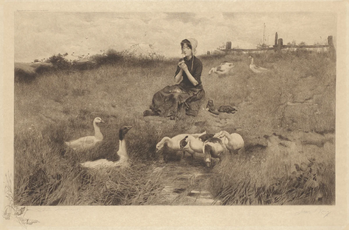 Untitled (Love Me, Love Me Not) by James S. King, print, 1887