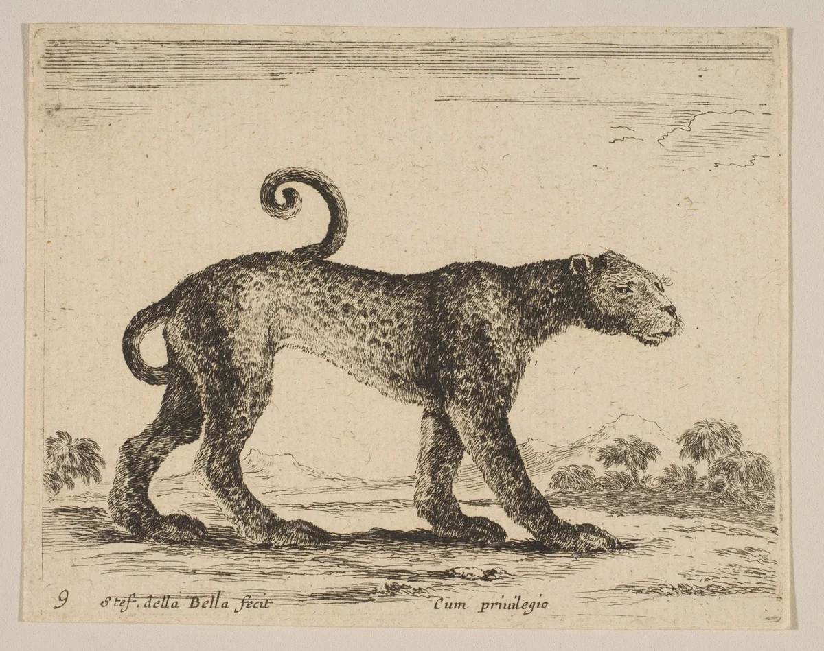 Plate 9: Leopard, from "Various animals" (Diversi animali) by Stefano della Bella, print, 1636-1646