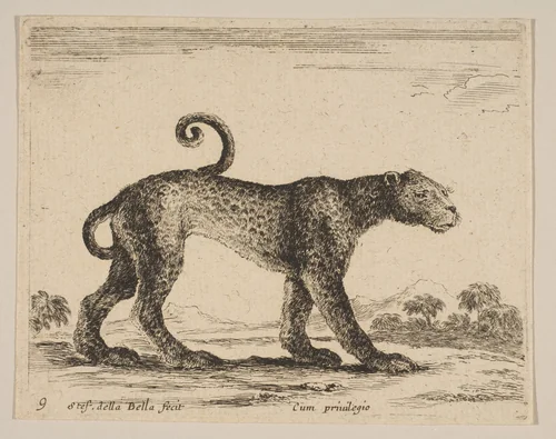 Plate 9: Leopard, from "Various animals" (Diversi animali) by Stefano della Bella, print, 1636-1646