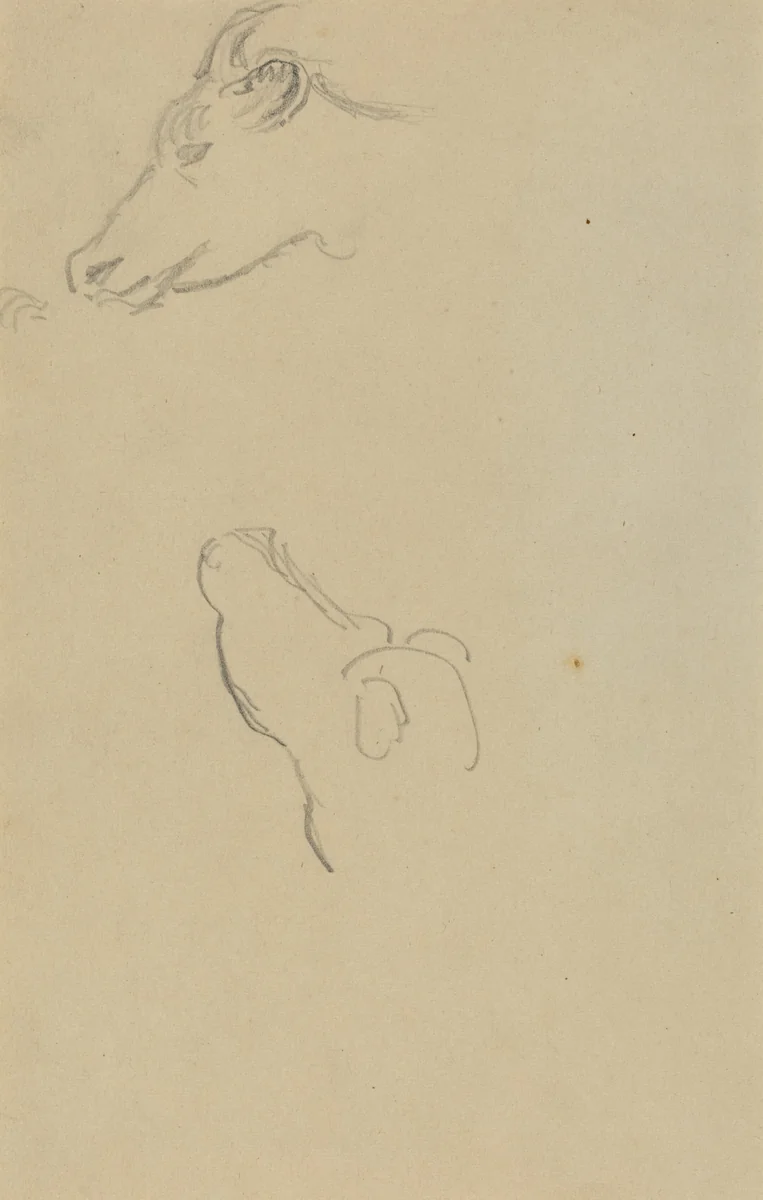 Head of a Cow [recto] by Paul Gauguin, drawing, 1884-1888