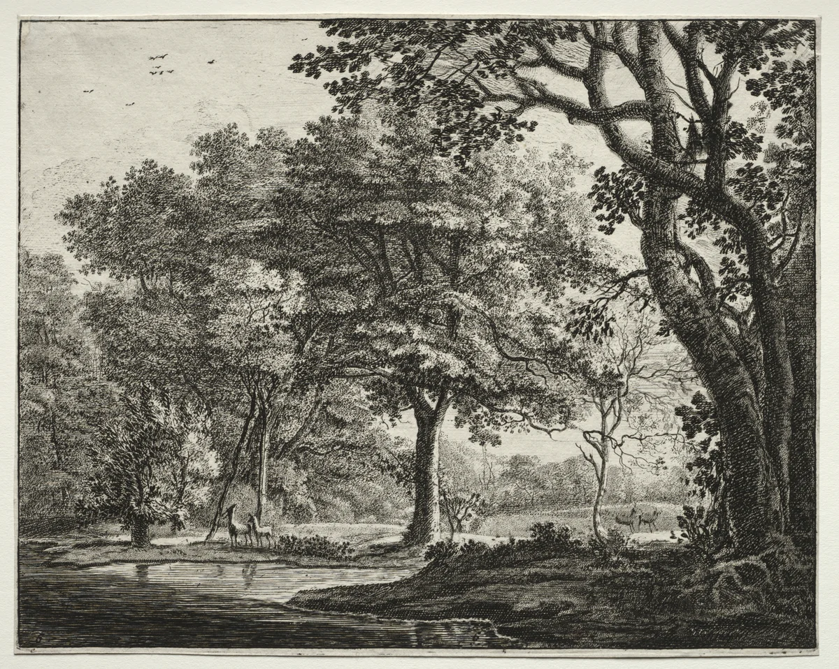 Six views in the Wood of the Hague: Plate 6, Two Deer by Roelant Roghman, print, 1640-1652