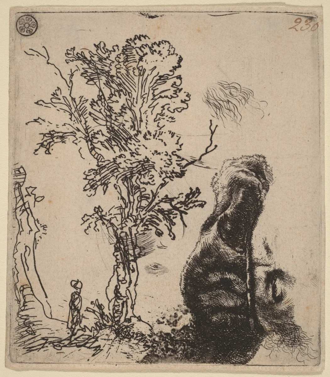 Sheet with Two Studies: a Tree, and the Upper Part of a Head of the Artist Wearing a Velvet Cap by Rembrandt van Rijn, print, 1642