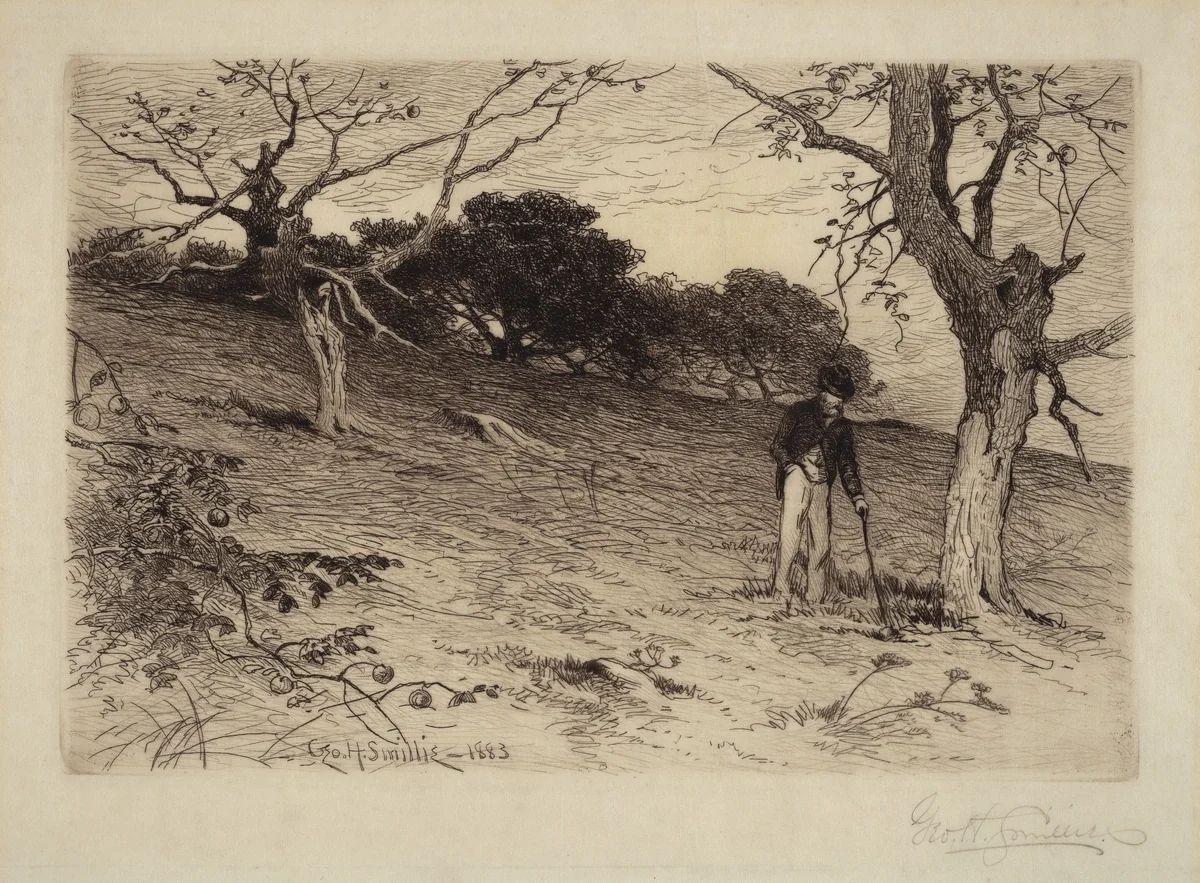 Old New England Orchard by George Henry Smillie, print, 1883