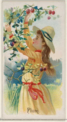 Plum, from the Fruits series (N12) for Allen & Ginter Cigarettes Brands by Allen & Ginter, print, 1891