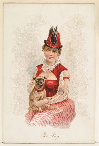 Pet Pug, from the Household Pets series (N194) issued by Wm. S. Kimball & Co. by William S. Kimball & Company, print, 1891