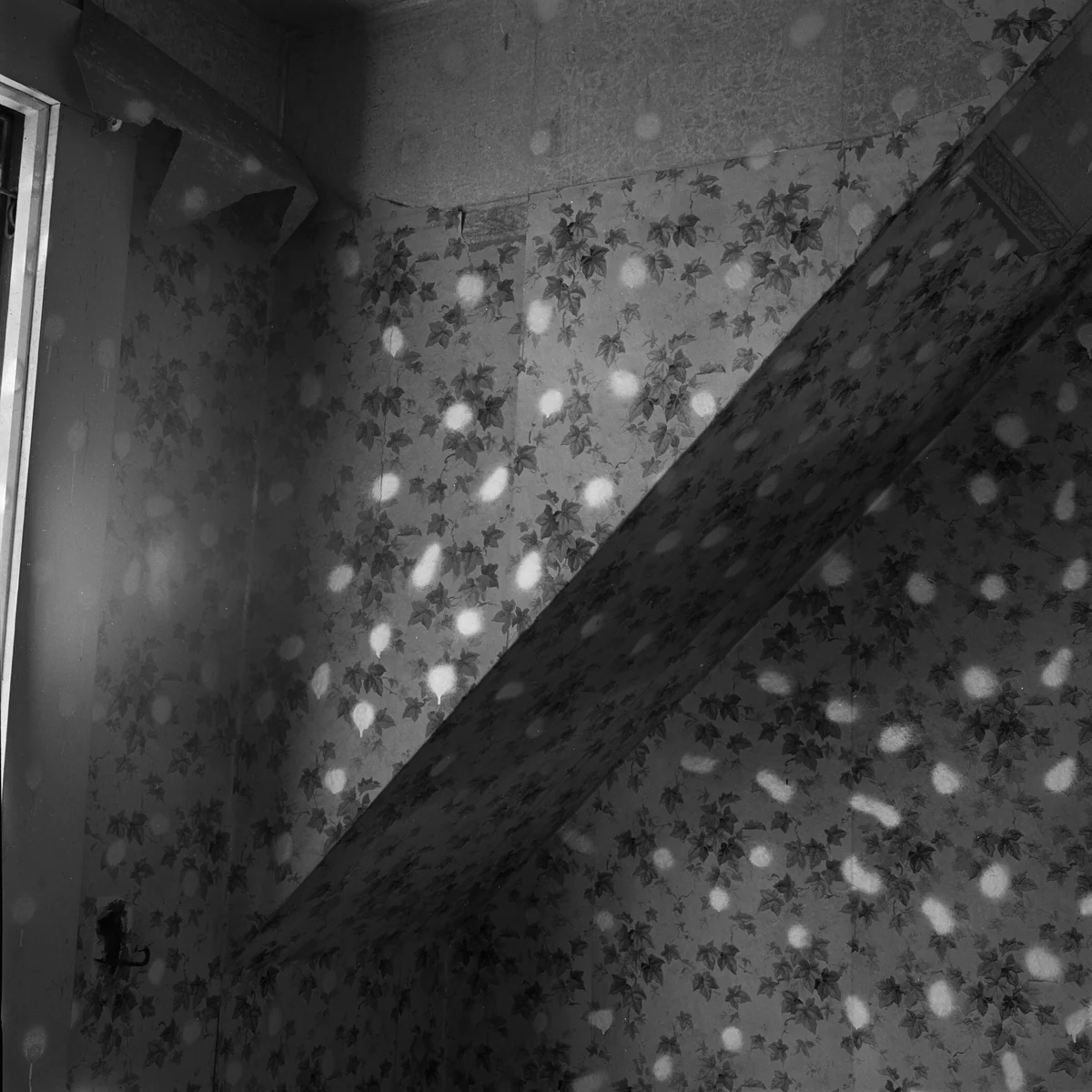 75V08 by John Divola, photograph, 1973-1975