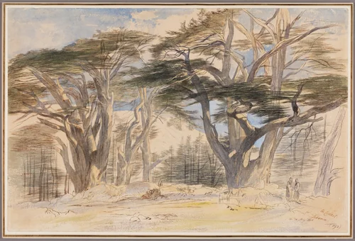 The Cedars of Lebanon by Edward Lear, painting, 1858