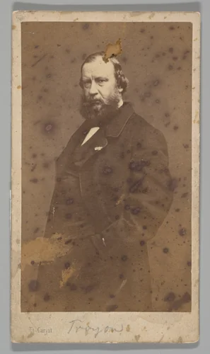 [Constant Troyon] by Etienne Carjat, photograph, 1860-1869