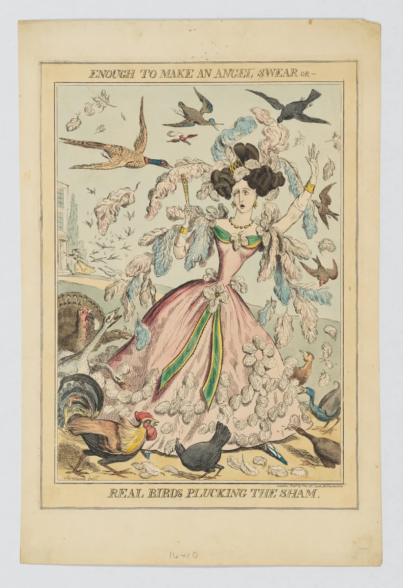 Enough to Make an Angel Swear, or–Real Birds Plucking the Sham by Robert Seymour, print, 1823-1833