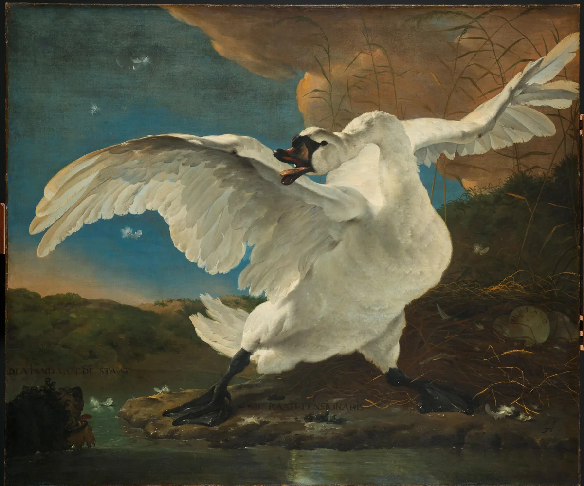 The Threatened Swan by Jan Asselijn, painting, 1650