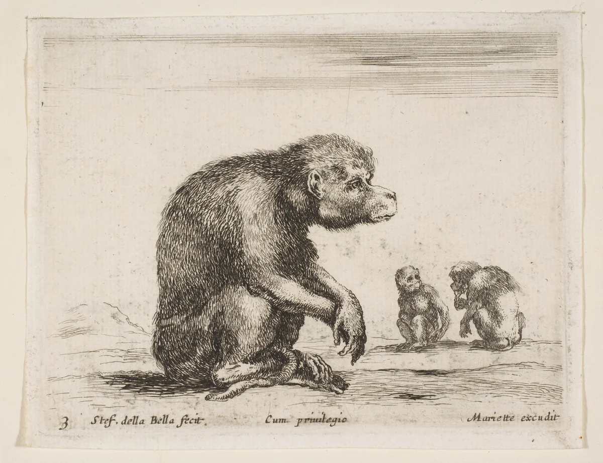 Seated monkey, plate 3 from "Various Animals" (Diversi Animali) by Stefano della Bella, print, 1641