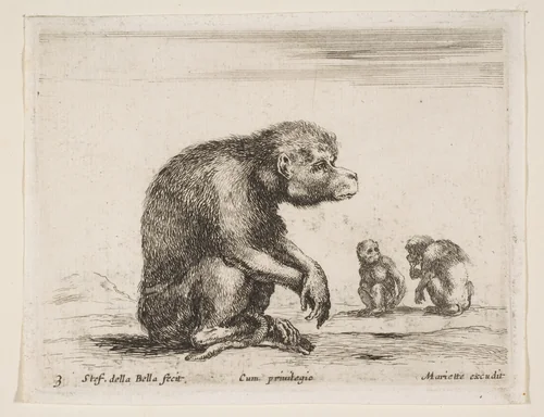 Seated monkey, plate 3 from "Various Animals" (Diversi Animali) by Stefano della Bella, print, 1641