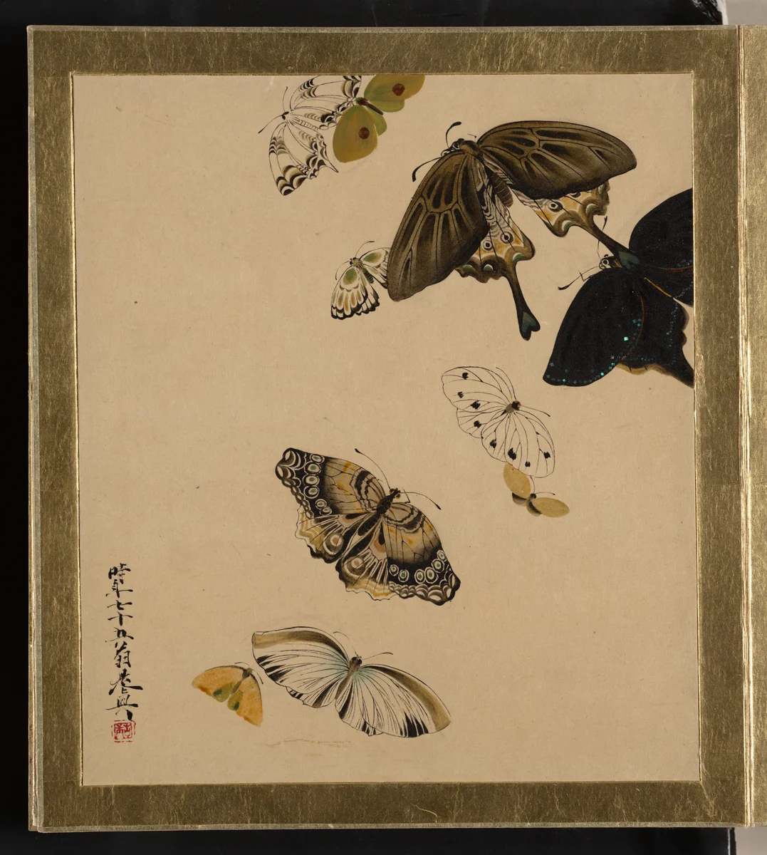 Lacquer Paintings of Various Subjects: Butterflies by Shibata Zeshin (柴田是真), painting, 1881
