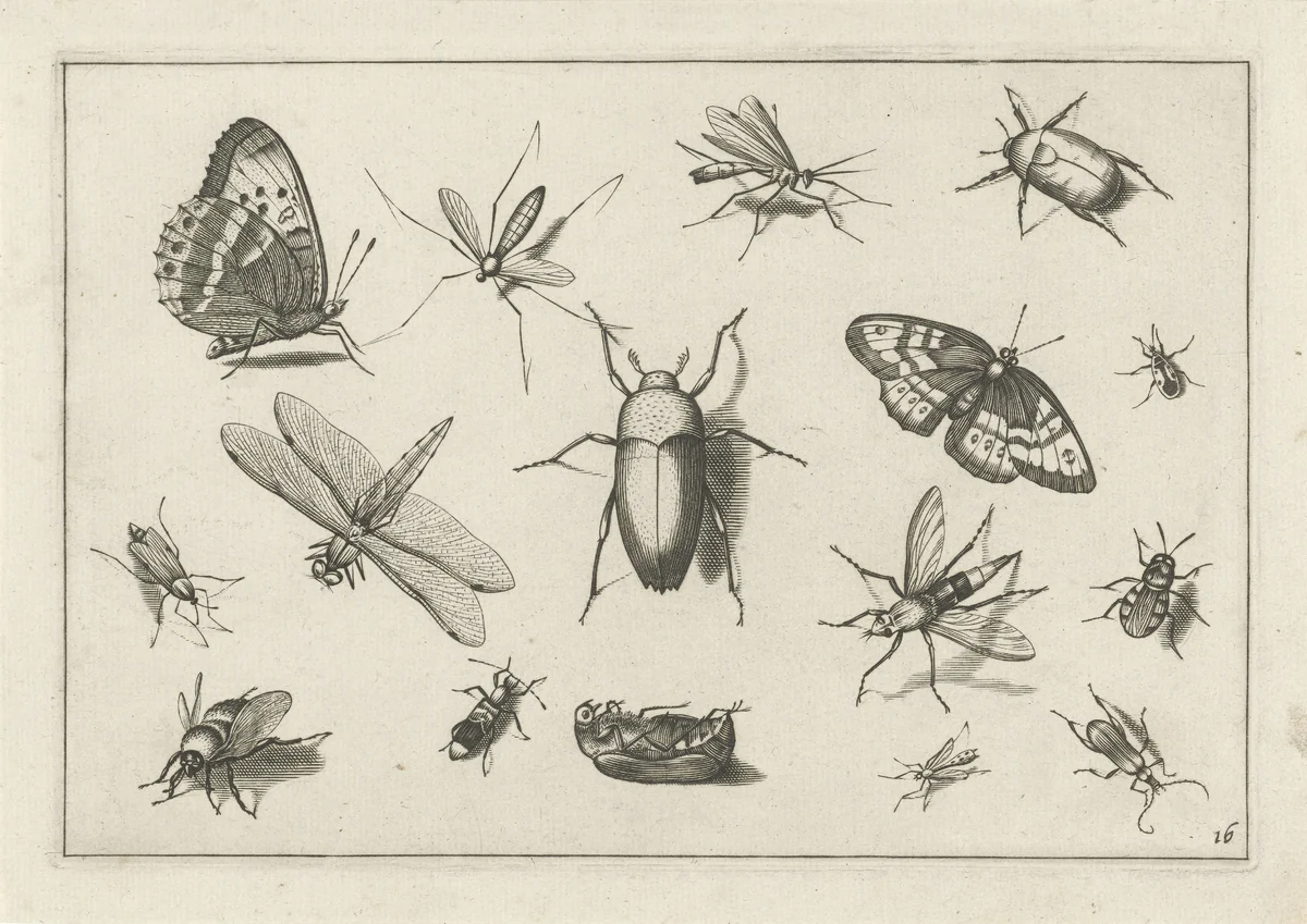Insecten by Jacob Hoefnagel, print, 1630