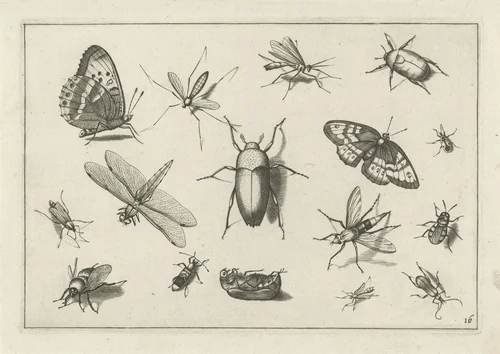Insecten by Jacob Hoefnagel, print, 1630