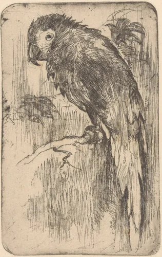 Papegaai op een tak by Willem Adrianus Grondhout, print, 1888-1934