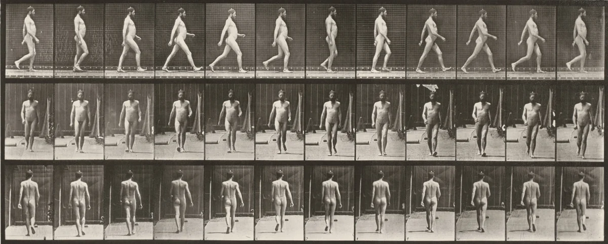 Plate Number 389. Farmer, scattering seed by Eadweard Muybridge, photograph, 1887
